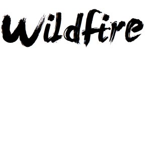 Wildfire - Camden Baptist Church