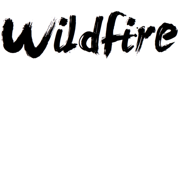 Wildfire - Camden Baptist Church